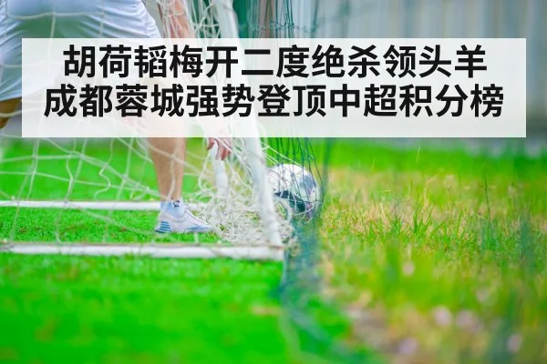 胡荷韬梅开二度绝杀领头羊 成都蓉城强势登顶中超积分榜 - kaiyun